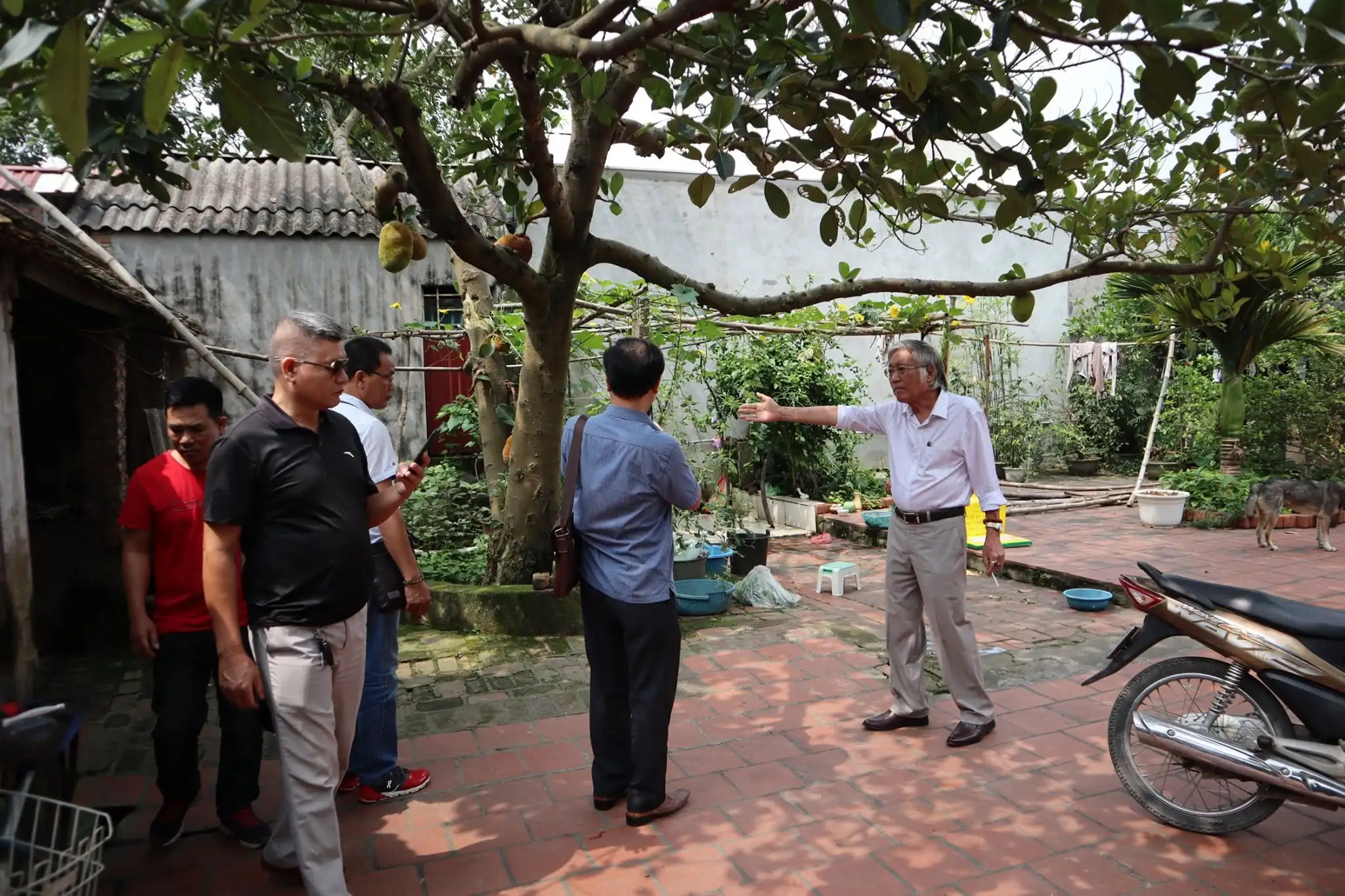 Hoạt động thực tế